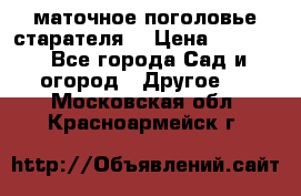 маточное поголовье старателя  › Цена ­ 3 700 - Все города Сад и огород » Другое   . Московская обл.,Красноармейск г.